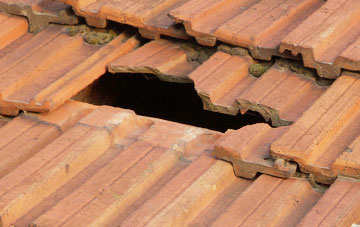 roof repair Burradon
